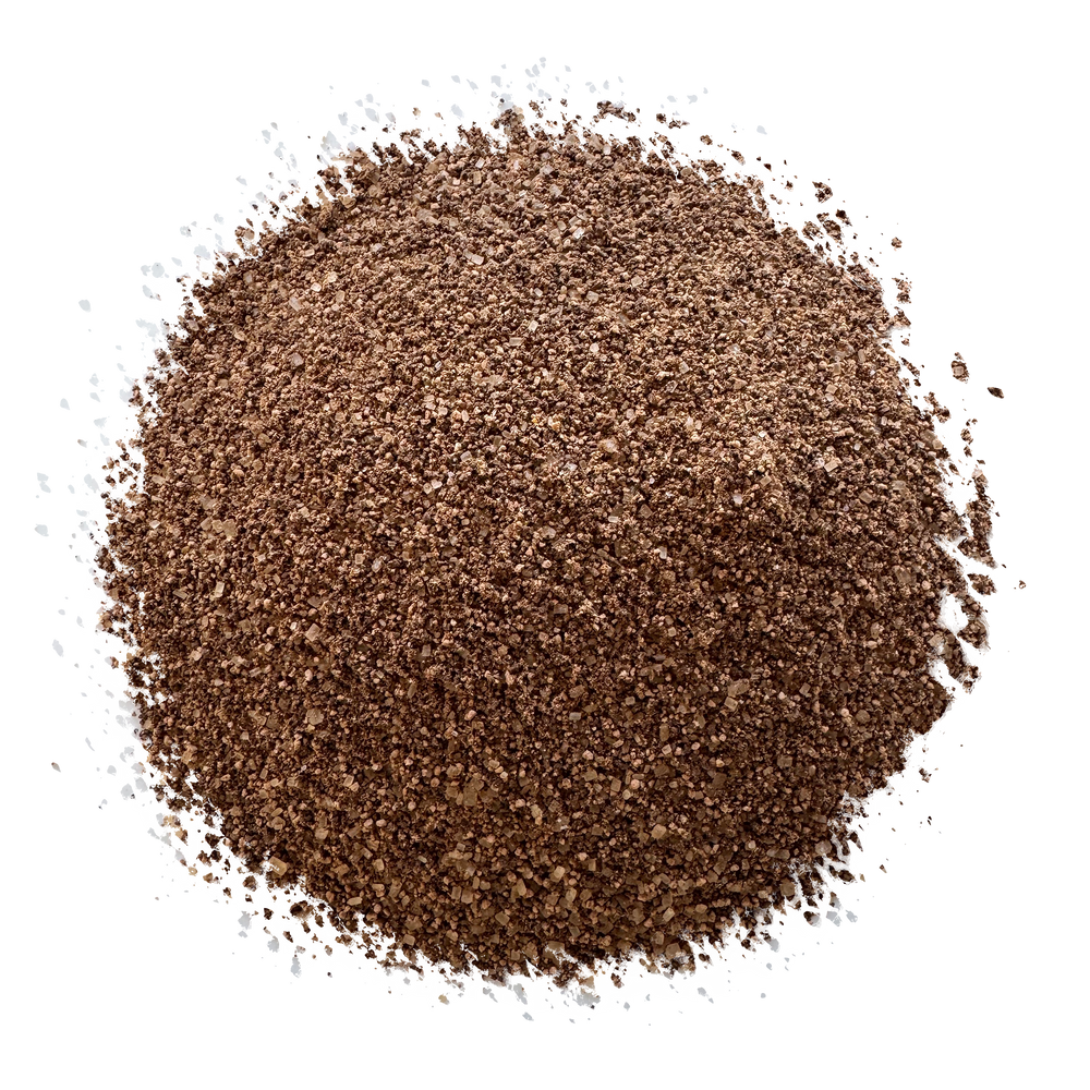 Amber Latte Espresso Salted Caramel - NEW