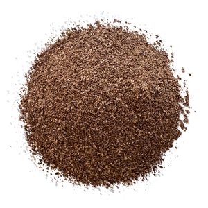 Amber Latte Espresso Salted Caramel - NEW