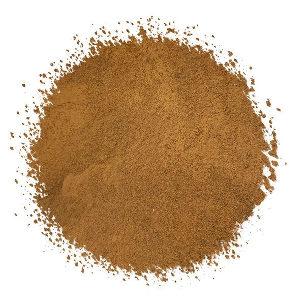 Bee on Fire Hot Honey Habanero Seasoning Mix - NEW